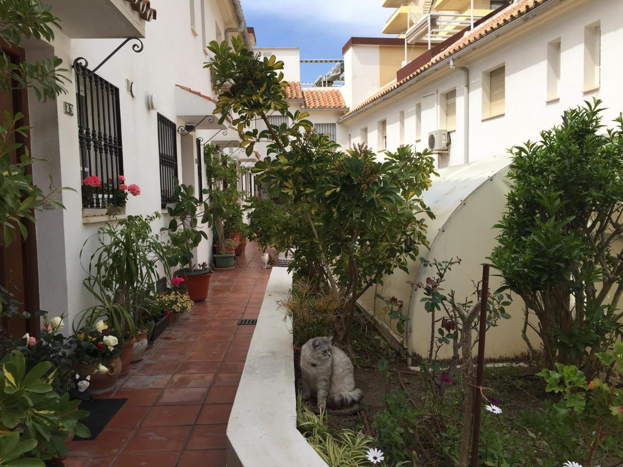 El Cortijuelo. Magnificent Triplex Terraced House With Rooftop Of 18M2, Overlooking The Sea. Parking Torremolinos Exteriör bild